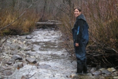 Dale-Creek-Site-12-Downstream-view