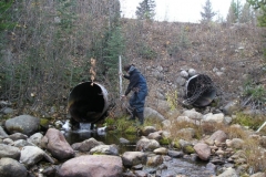 Wilikinson-trib-Site-9-culvert-outlet-upstream
